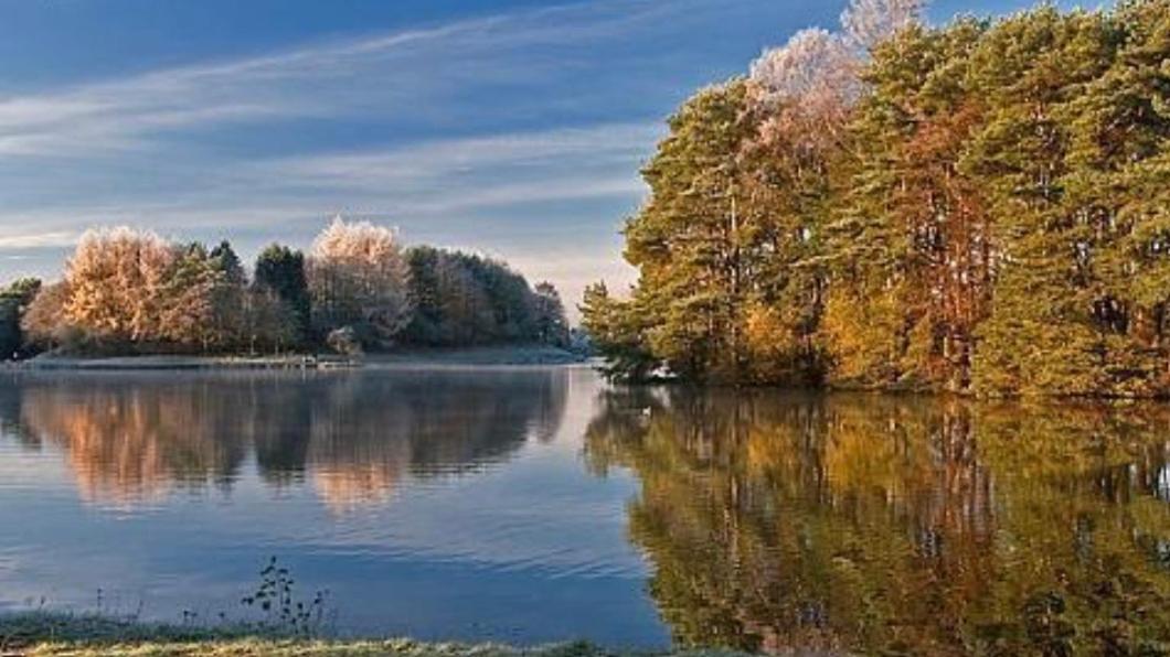 Tranquil Accommodation In A Great Location. Lanark Dış mekan fotoğraf