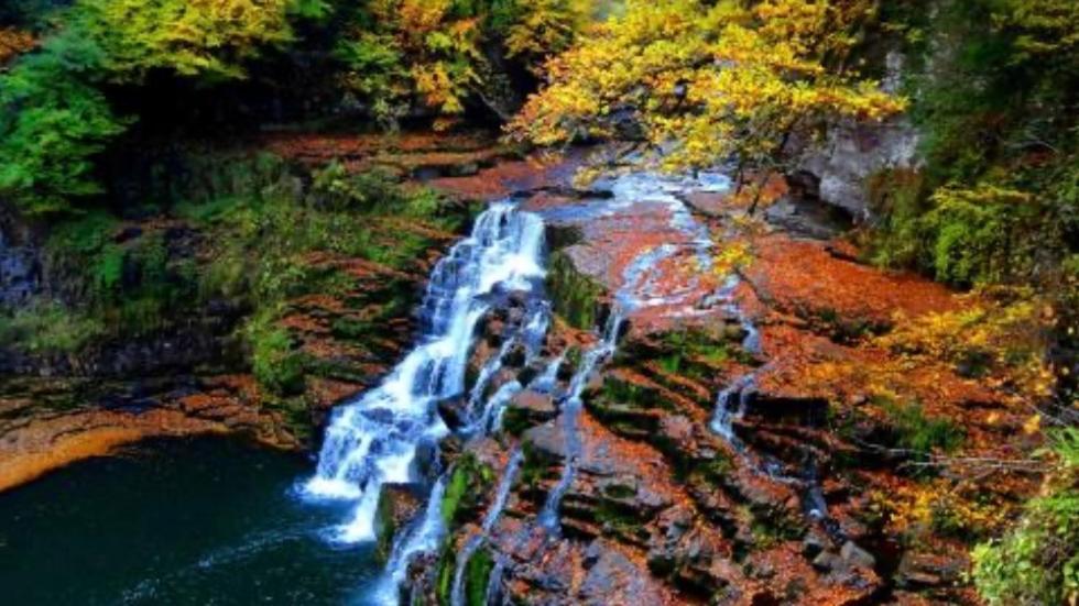 Tranquil Accommodation In A Great Location. Lanark Dış mekan fotoğraf